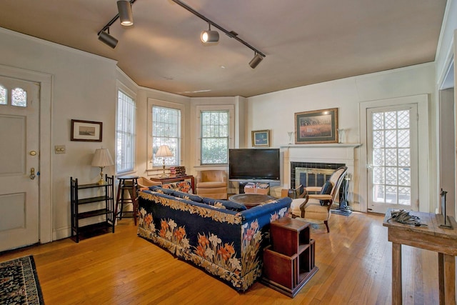 living area featuring hardwood / wood-style floors, a fireplace, and a wealth of natural light