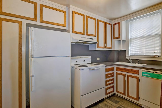 kitchen featuring white appliances, dark wood finished floors, a sink, under cabinet range hood, and dark countertops