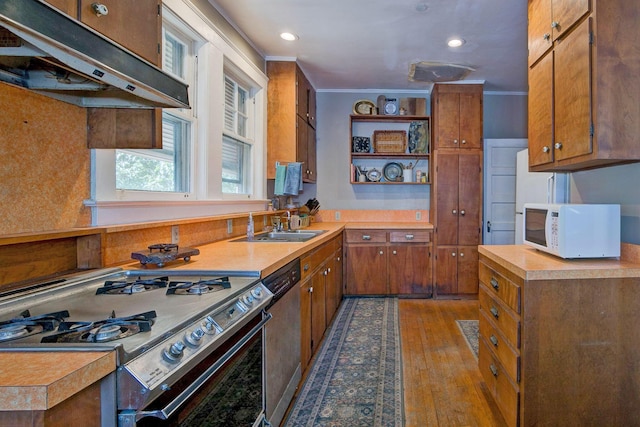 kitchen featuring under cabinet range hood, appliances with stainless steel finishes, light countertops, and crown molding