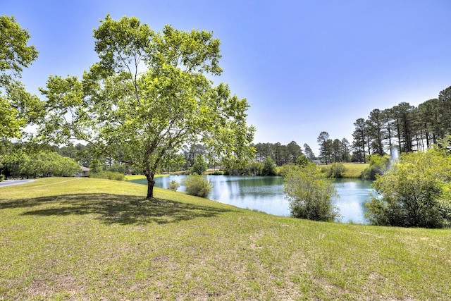 409 Pine Lake Ct, Manning, SC 29102 - water view featuring a tree filled landscape