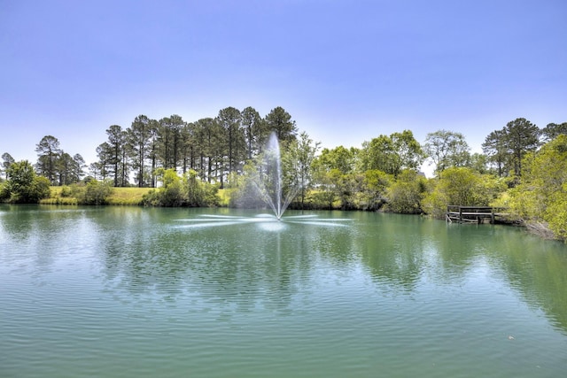 409 Pine Lake Ct, Manning, SC 29102 - water view