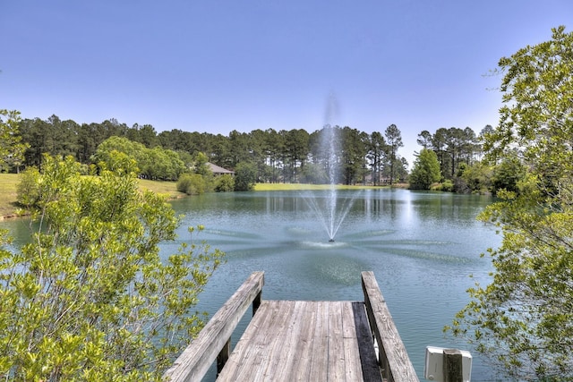 409 Pine Lake Ct, Manning, SC 29102 - dock area featuring a water view