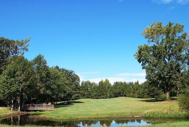 409 Pine Lake Ct, Manning, SC 29102 - water view with a golf club