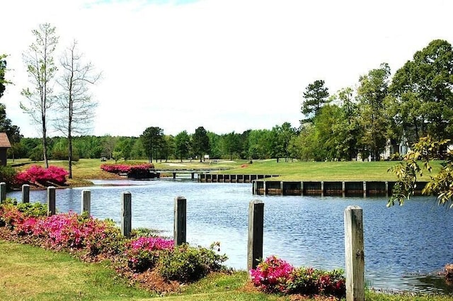 409 Pine Lake Ct, Manning, SC 29102 - water view