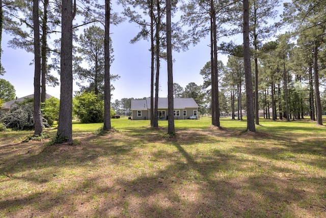 409 Pine Lake Ct, Manning, SC 29102 - view of grassy yard