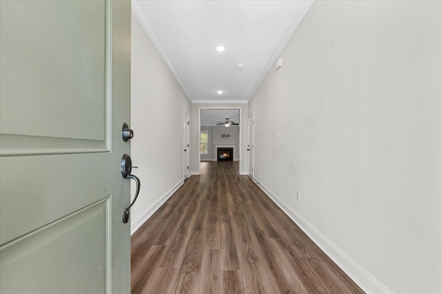 hallway featuring crown molding and dark hardwood / wood-style floors