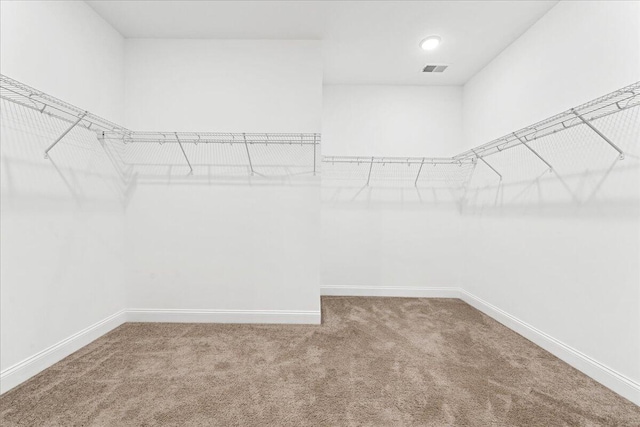 walk in closet featuring carpet floors