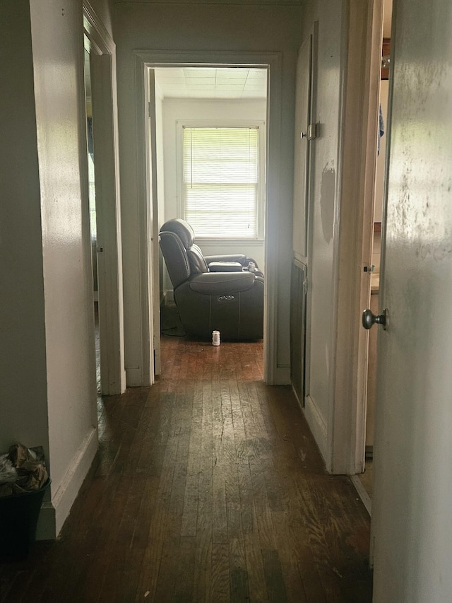 8719 Jefferies Hwy, Walterboro, SC 29488 - hallway with wood-type flooring