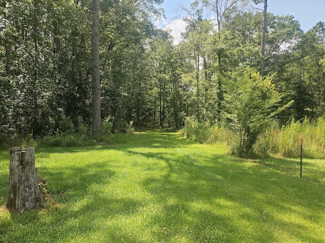 8719 Jefferies Hwy, Walterboro, SC 29488 - view of grassy yard featuring a view of trees