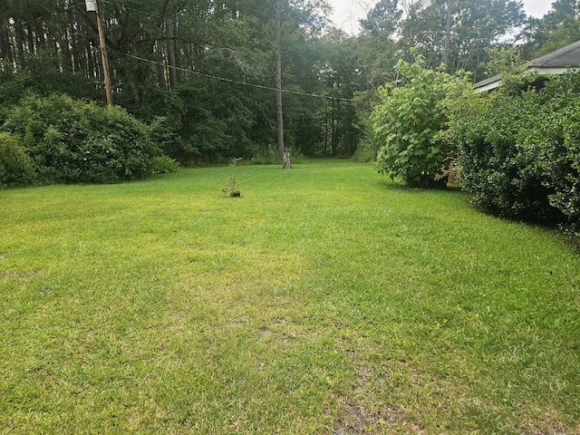 8719 Jefferies Hwy, Walterboro, SC 29488 - view of green lawn
