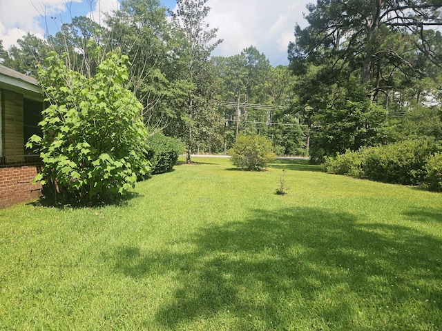 8719 Jefferies Hwy, Walterboro, SC 29488 - view of grassy yard