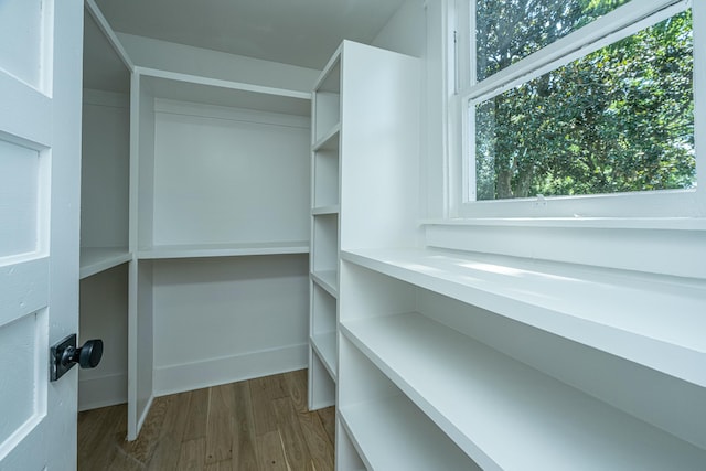walk in closet with wood finished floors