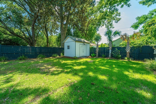 view of yard featuring a fenced backyard, an outdoor structure, and a storage unit