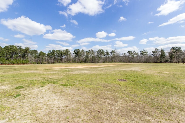 view of local wilderness