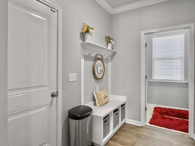 209 Celestial Blvd, Summerville, SC 29486 - mudroom with crown molding, light wood-style flooring, and baseboards