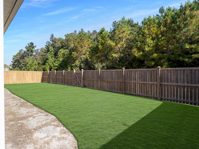 209 Celestial Blvd, Summerville, SC 29486 - view of yard