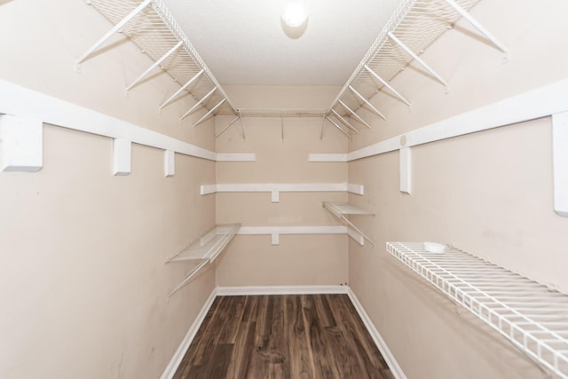 walk in closet featuring dark hardwood / wood-style floors