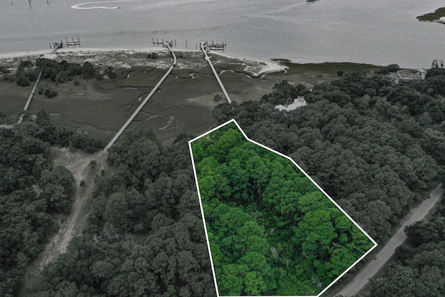 143 Dewees Inlet Dr, Dewees Island SC, 29451 land for sale