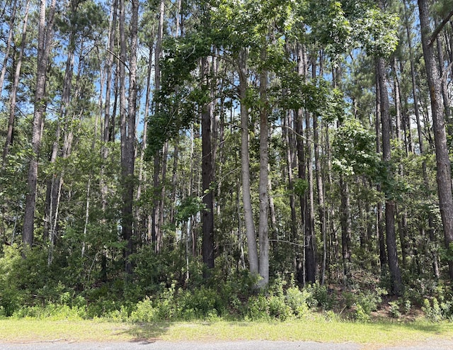 110 Rayland Cir, Walterboro, SC 29488