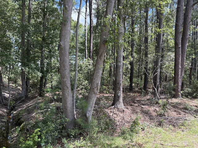 110 Rayland Cir, Walterboro, SC 29488