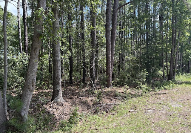 110 Rayland Cir, Walterboro, SC 29488