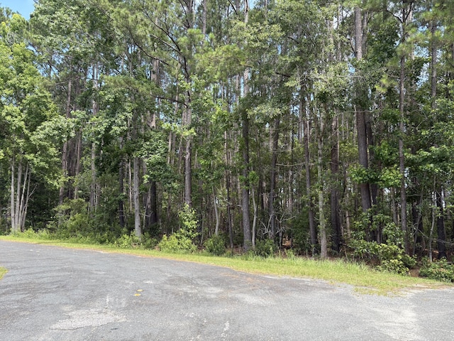 110 Rayland Cir, Walterboro, SC 29488