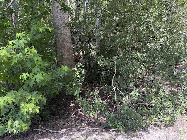 110 Rayland Cir, Walterboro, SC 29488