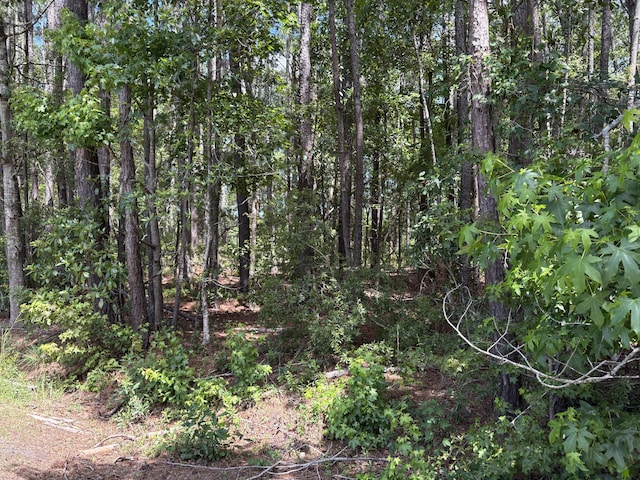 110 Rayland Cir, Walterboro, SC 29488