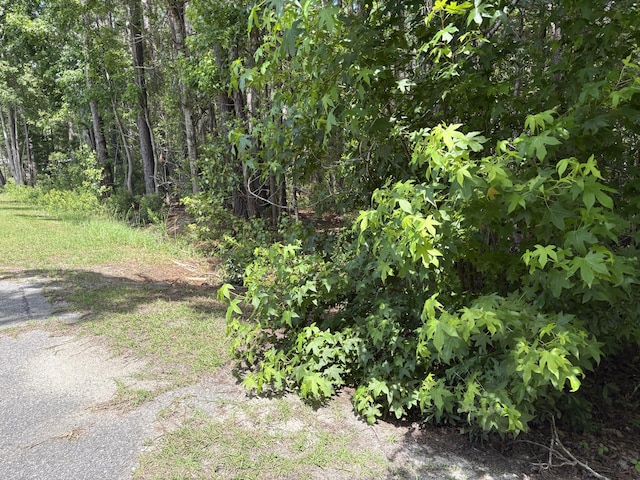 110 Rayland Cir, Walterboro, SC 29488