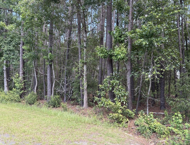 110 Rayland Cir, Walterboro, SC 29488
