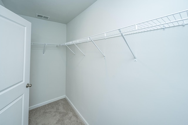 101 Orchid Bloom Cir, Moncks Corner, SC 29461 - walk in closet featuring carpet flooring