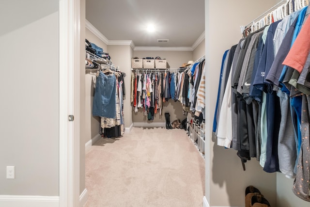 125 Beam St, Huger, SC 29450 - spacious closet featuring carpet flooring
