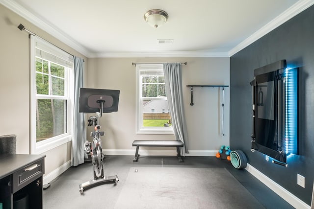 125 Beam St, Huger, SC 29450 - workout area with ornamental molding and baseboards