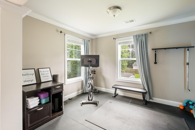 125 Beam St, Huger, SC 29450 - exercise area featuring crown molding and baseboards