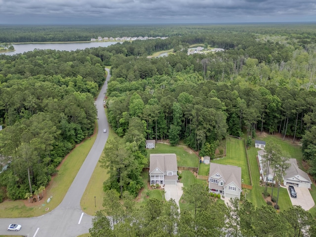 125 Beam St, Huger, SC 29450 - aerial overview of property's location featuring a heavily wooded area and a large body of water