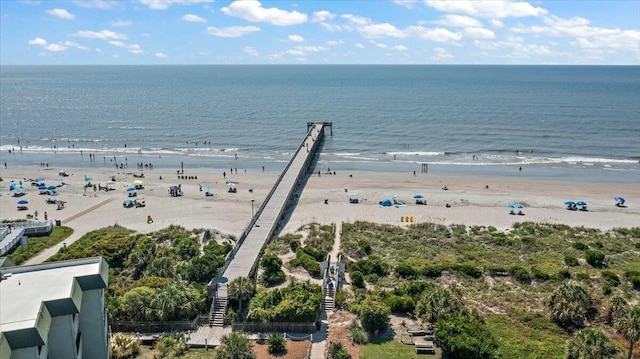 bird's eye view with a water view and a view of the beach