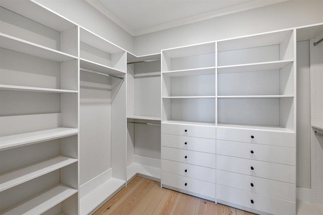 walk in closet featuring hardwood / wood-style flooring