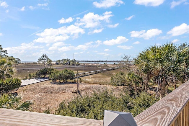 view of yard with a rural view