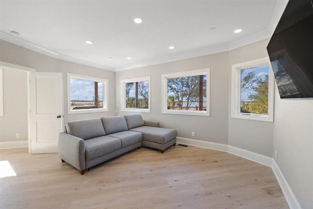 living room featuring crown molding and light hardwood / wood-style floors