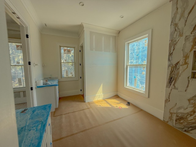 interior space featuring crown molding