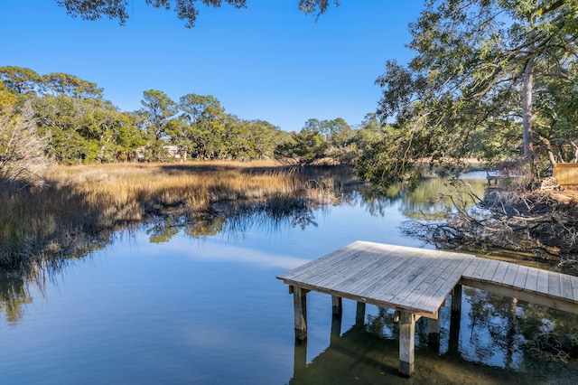 dock area with a water view