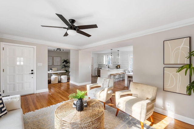 living room with ceiling fan, sink, light wood-type flooring, and crown molding