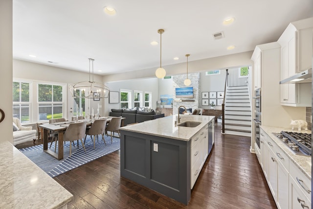 1166 Turkey Trot Dr, Johns Island, SC 29455 - kitchen with stainless steel appliances, visible vents, a sink, and plenty of natural light