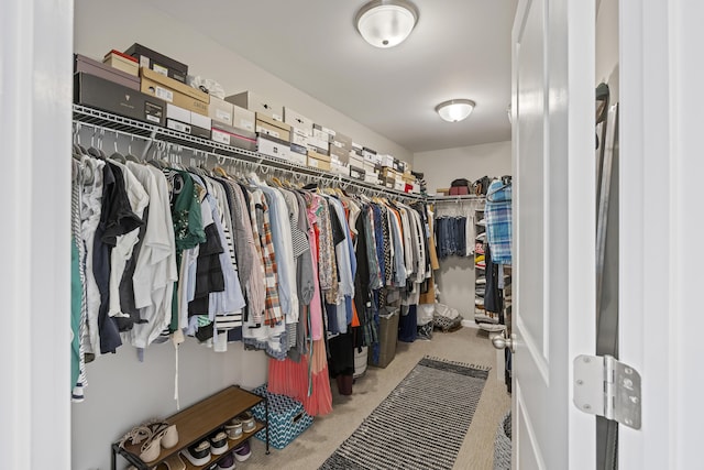 1166 Turkey Trot Dr, Johns Island, SC 29455 - walk in closet with carpet
