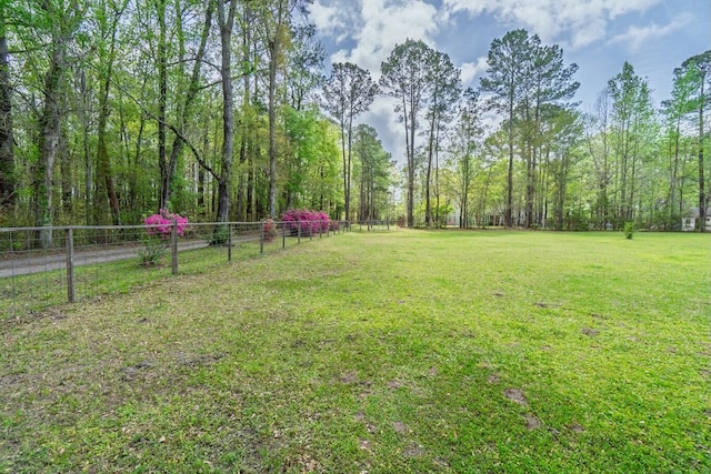 8072 Bing Hill Rd, Adams Run, SC 29426 - view of yard featuring fence