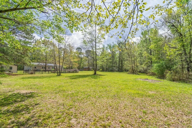 8072 Bing Hill Rd, Adams Run, SC 29426 - view of yard featuring a wooded view