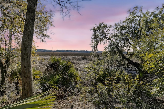 view of nature at dusk