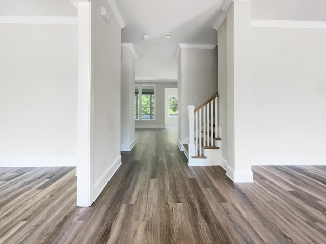 hall featuring stairs, baseboards, dark wood finished floors, and ornamental molding