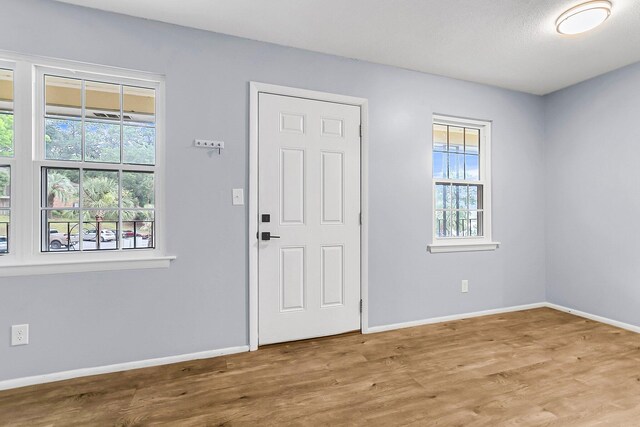 entrance foyer featuring hardwood / wood-style flooring