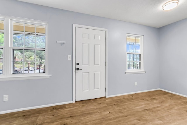 foyer with wood-type flooring